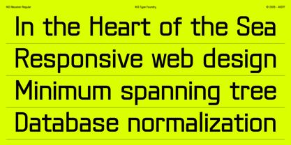 403 Neusten Font Poster 4