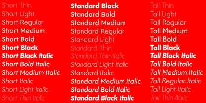 Regine Font Poster 1