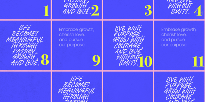 Serlin Monarch Font Poster 5