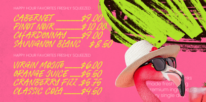 Serlin Monarch Font Poster 7