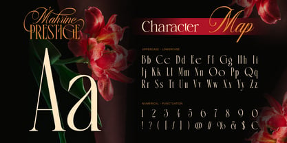 Mahrine Prestige Font Poster 2