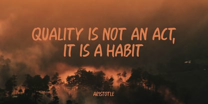 Force Of Habit Pro Font Poster 2