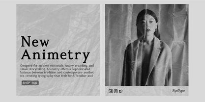Animetry Font Poster 10