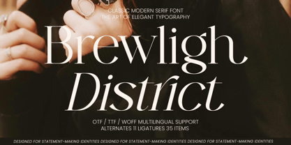 Brewligh District Font Poster 1