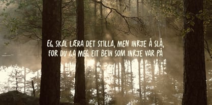 Fossegrim Pro Font Poster 4