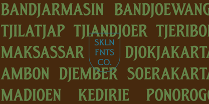 SFC Crest Pier Font Poster 5