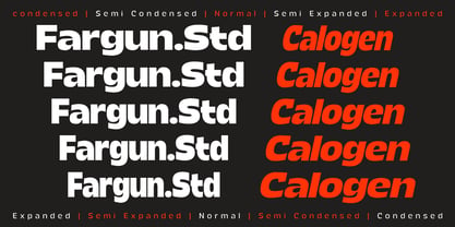 Calogen Font Poster 3