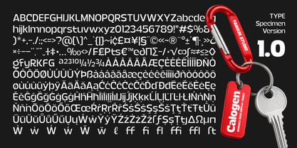 Calogen Font Poster 14