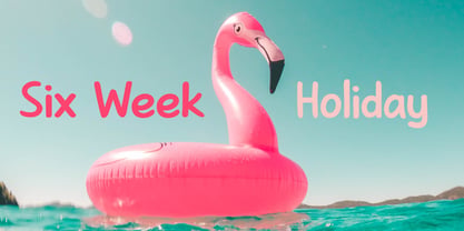 Six Week Holiday Pro Font Poster 1