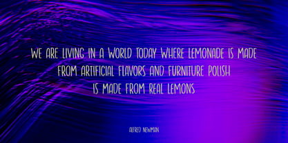 Artificial Flavour Pro Font Poster 4