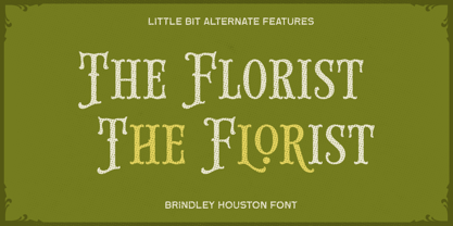 Brindley Houston Font Poster 8