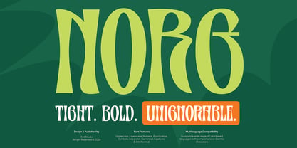 Norg Font Poster 1