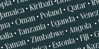 Rainhalf Font Poster 10