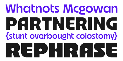 Bolte Variable Font Poster 9