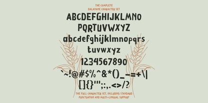 Dalanane Font Poster 5