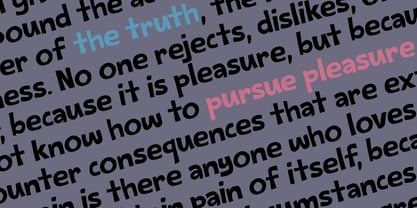 No Fudge Given Pro Font Poster 2