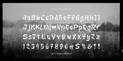 Faulty Scribble Font Poster 10