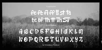 Faulty Scribble Font Poster 12