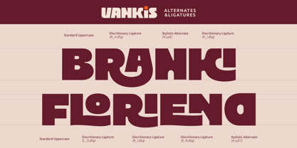 Vankis Font Poster 14