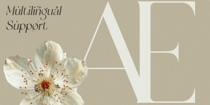 Margoe Font Poster 5