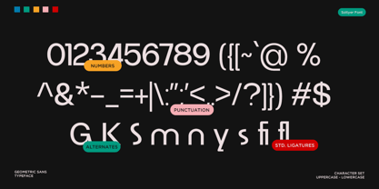 Soltyer Font Poster 10