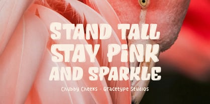 Chubby Cheeks Solid Font Poster 6