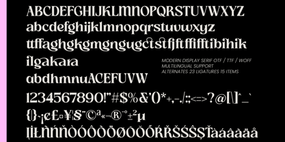 Slow Bar Stories Font Poster 8