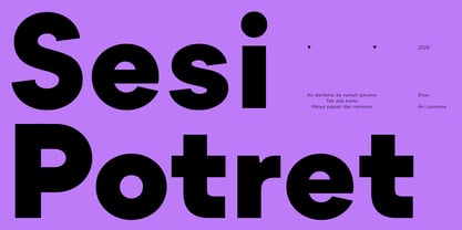 JHC Chiona Font Poster 7