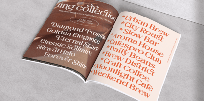 The Daily Midtones Font Poster 7