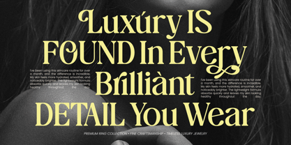 The Daily Midtones Font Poster 3