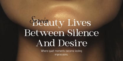 Belaroque Font Poster 6