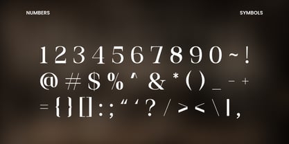Belaroque Font Poster 3
