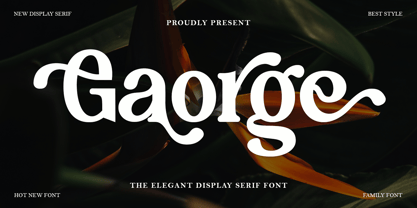 Gaorge Font Poster 1