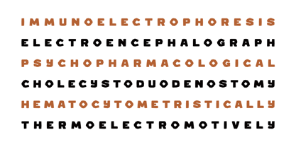 Chocomo Font Poster 13