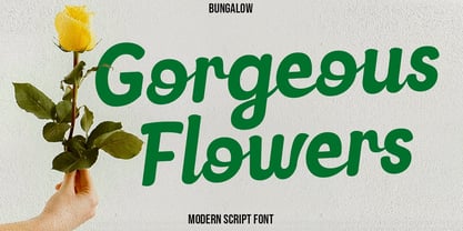 Delmirae Font Poster 11