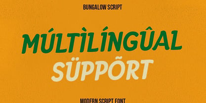 Delmirae Font Poster 5