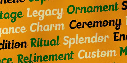 Delmirae Font Poster 10
