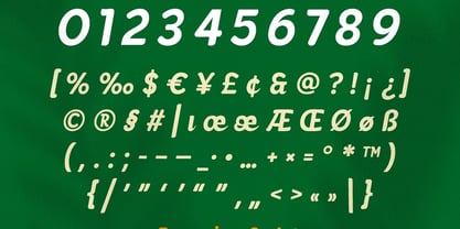 Delmirae Font Poster 4