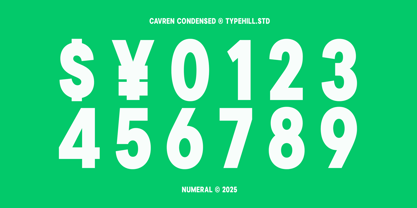 Cavren Condensed Font Poster 13