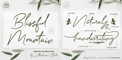 Blissful Mountain Font Poster 2