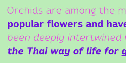 Gluaymai Font Poster 5
