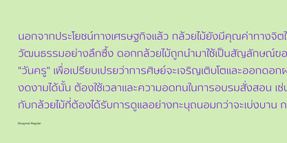 Gluaymai Font Poster 4