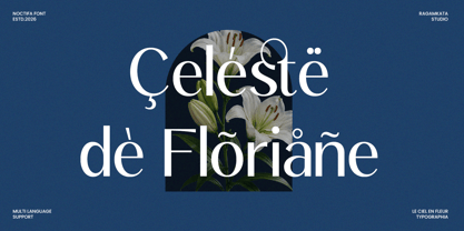Noctifa Font Poster 7
