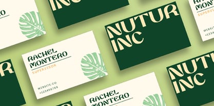 Lanyno Font Poster 4