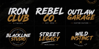 Rogue gang Font Poster 3