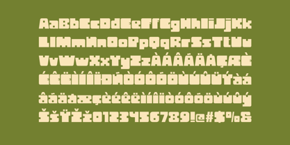Neba Font Poster 9