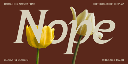 Casale Del Natura Font Poster 3
