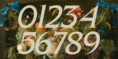 Casale Del Natura Font Poster 13