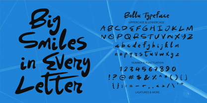 Bollu Font Poster 5