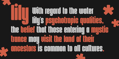 Krusht Font Poster 6